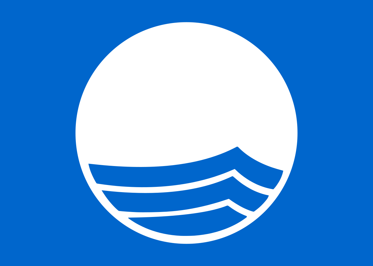 1200px Blue Flag Logo.svg